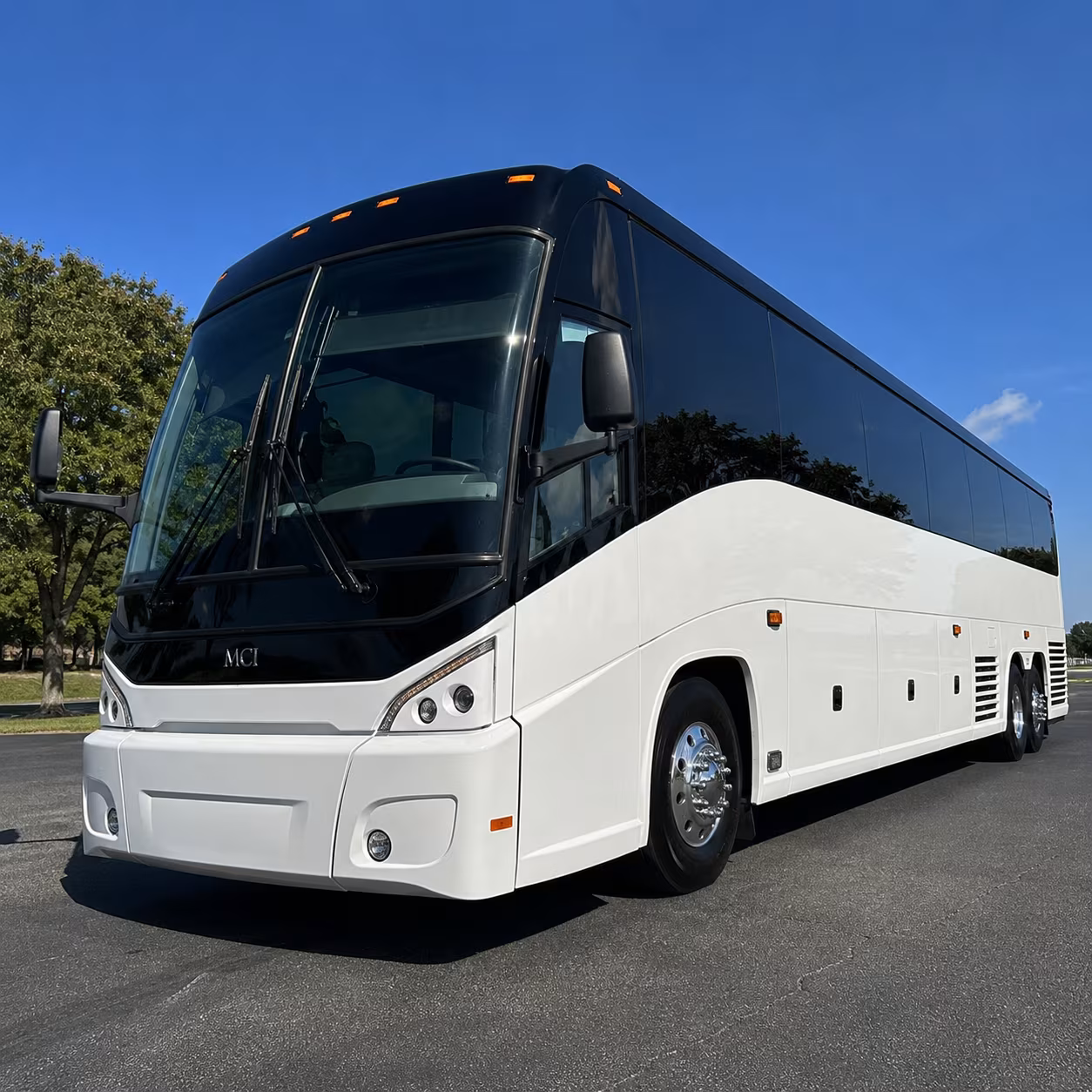 Paradise Airport Shuttles & Transportation