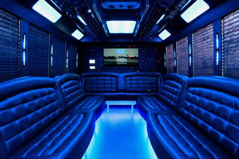 Paradise party Bus Rental