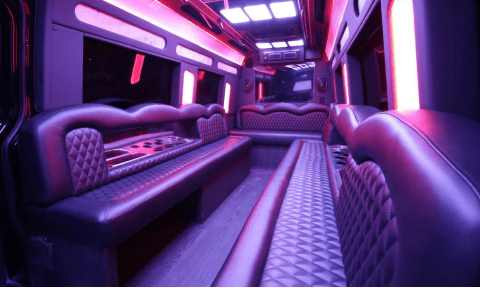 Las Vegas 14 Passenger Sprinter Bus Interior