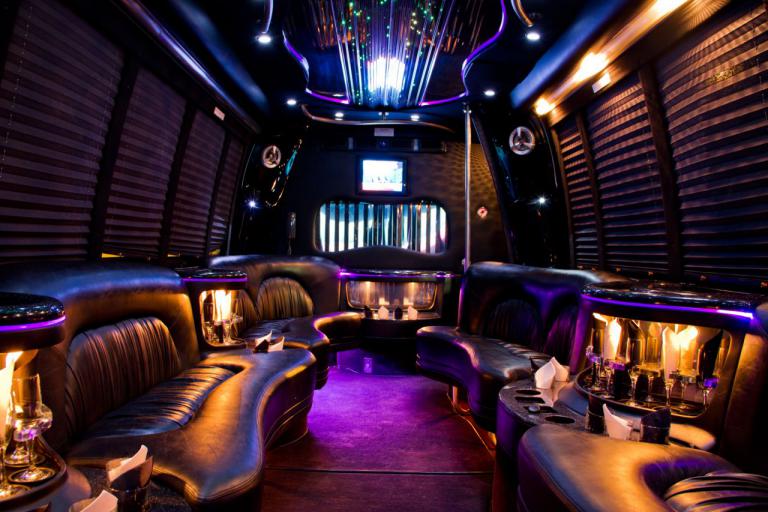 St. George 22 Passenger Party Bus Interior