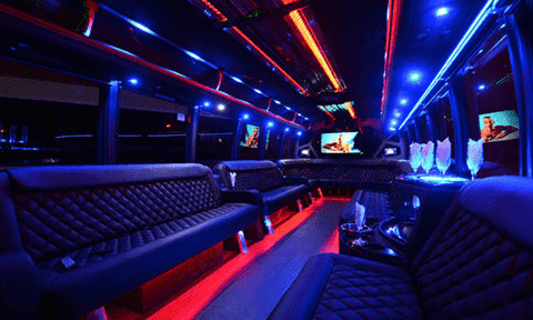 Provo 30 Passenger Party Bus Black Interior