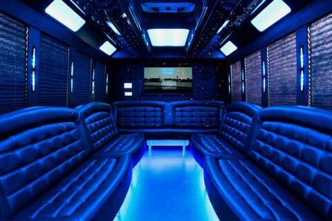Paradise 36 Passenger Party Bus Interior